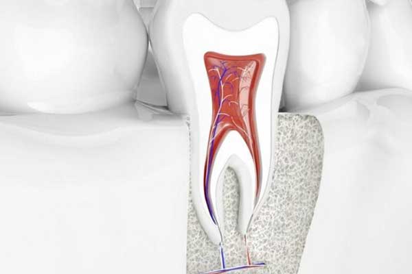 Endodoncia Regenerativa